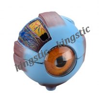 cbm-221a-3